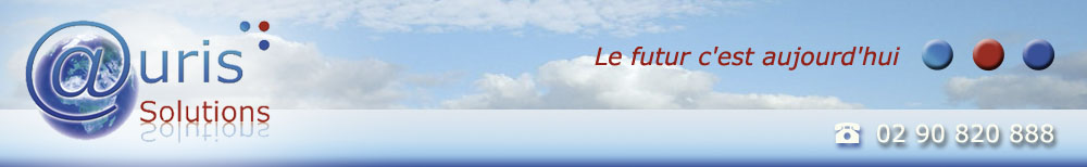 auris solutions strat�gie num�rique syst�me informatique brest bretagne